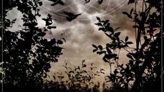 Insomnium - Through The Shadows (Cover) смотреть онлайн