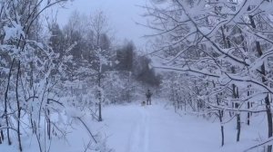 ЙЕТИ. Bigfoot is watching you. Yeti. Снежный Человек. Бигфут. Алмасты. Sasquatch.