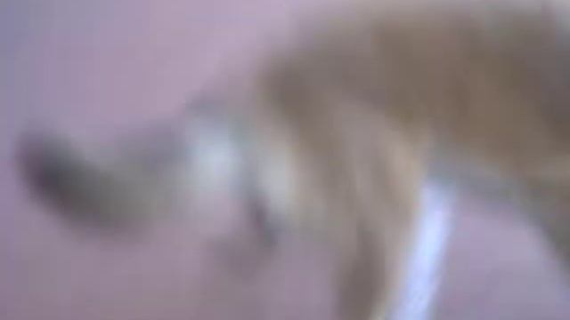 Фризби 2010 смотреть онлайн