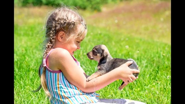 Занятие по чтению художественной литературы сказка про собачку по имени Тобик ДО-9 Мельникова