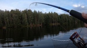 Атомные Монстры Десногорского водохранилища.