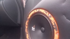 Обзор динамиков DL Audio Gryphon Pro 200