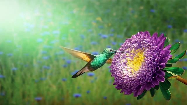 Музыка без авторских прав, фоновая музыка для создания видео подделок или рецептов смотреть онлайн