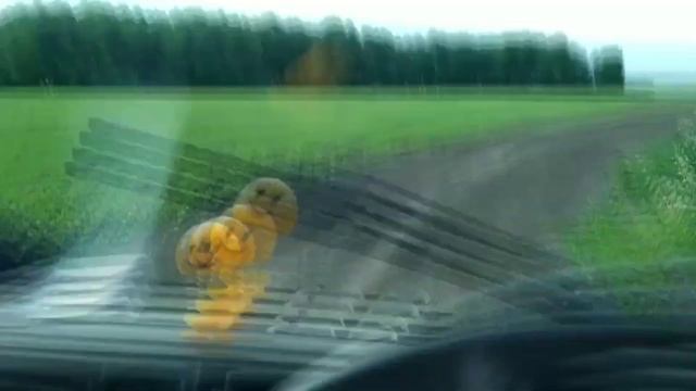 Метало Коп 2021 год/ Ищем Новые Места/Коп в Сибири смотреть онлайн