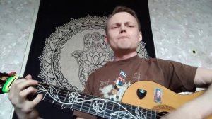 Кот пришел назад (Serge Philipov кавер на Green Crow)