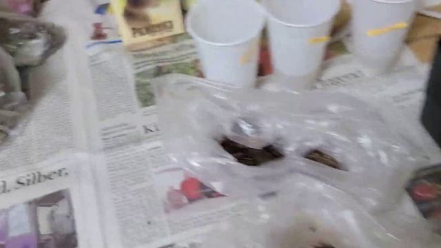 Делаем новую БАРМАТУХУ Дзамболата дома .( Продаю семена томатов) смотреть онлайн