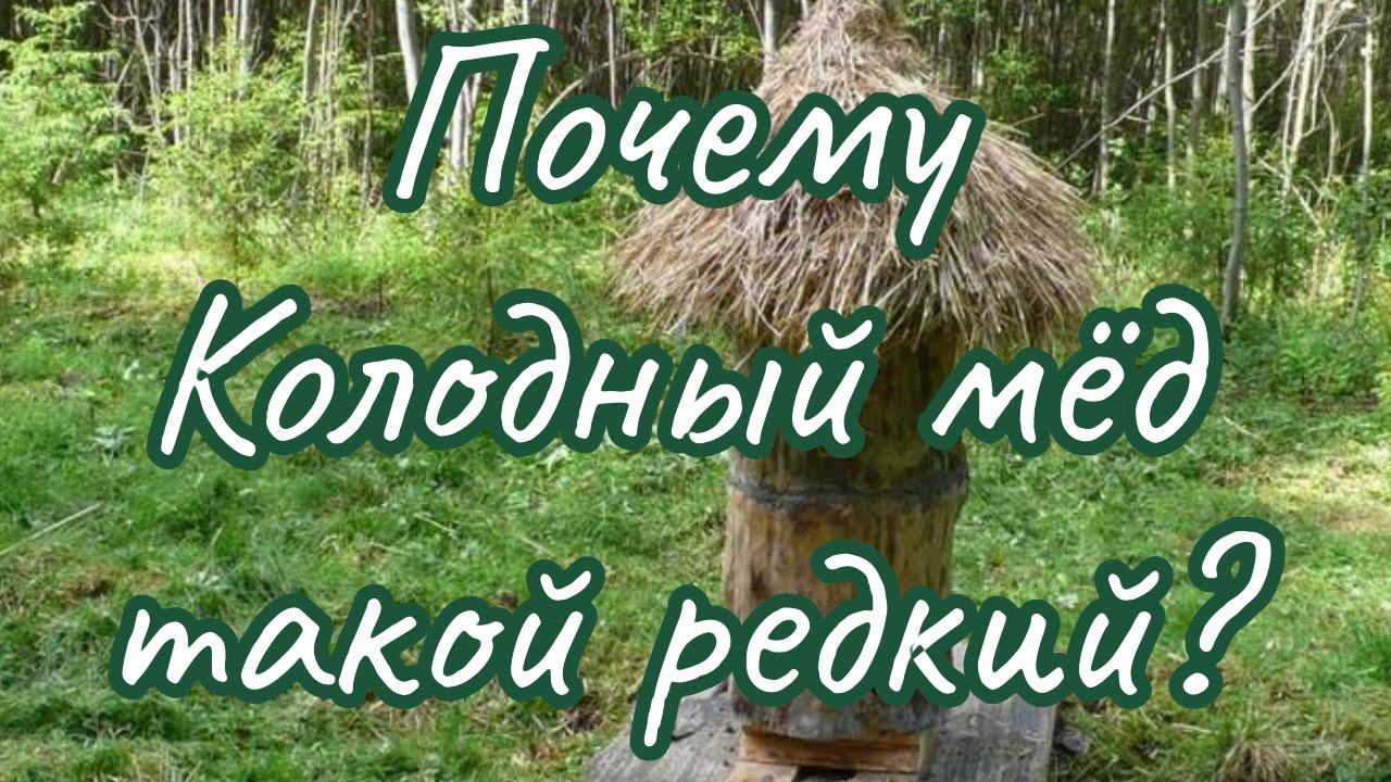 Почему колодный мёд такой редкий, и чем он лучше мёда из ульев? смотреть онлайн