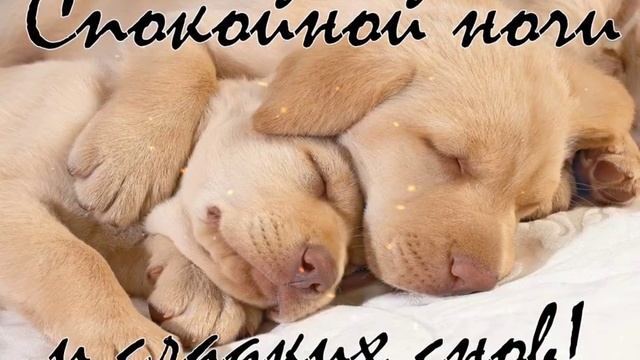 Спокойной Ночи // Сладких Снов ?// Красивое Музыкальное Пожелание смотреть онлайн