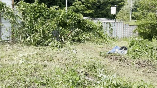 Расчистка участка под строительство #ВкалываютРоботы