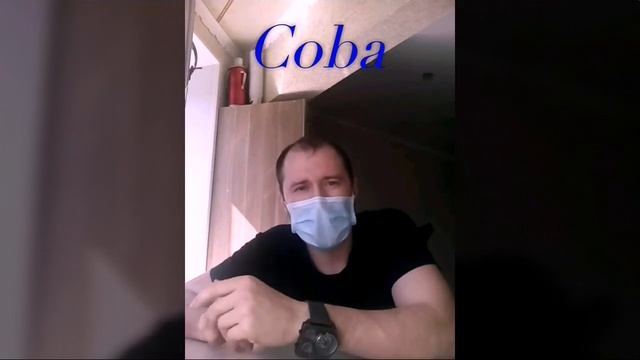 Лечение РС пчёлами
