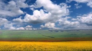 "Что такое Россия" (И.Лученок - А.Цомук)