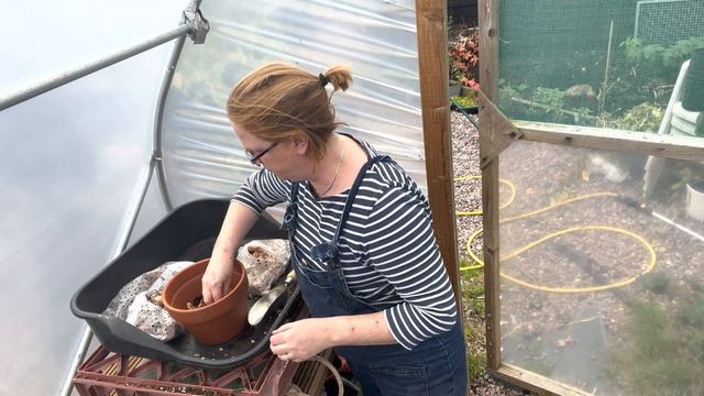 Planting Spring Bulbs Part 2 - Scented Narcissi at Meadows Flowers смотреть онлайн