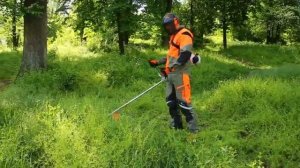 STIHL FS 55 Обзор самой популярной бензиновой мотокосы от знаменитого бренда Штиль