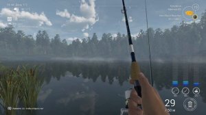 Fishing Planet-Пруд Лесни-Вила,Чехия,беглый взгляд..mp4