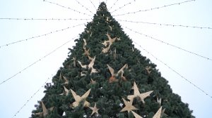 Когда нужно наряжать новогоднюю ёлку?