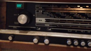 Ригонда 102 (первое включение)