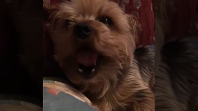 1 июля 2018 г. смотреть онлайн