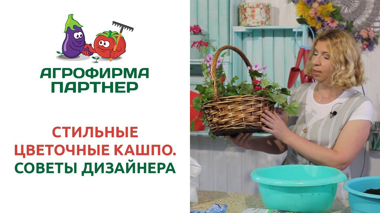 СТИЛЬНЫЕ ЦВЕТОЧНЫЕ КАШПО. СОВЕТЫ ДИЗАЙНЕРА