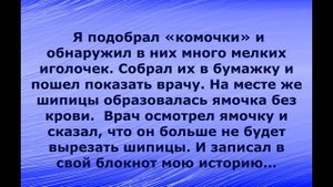 ШИПИЦА