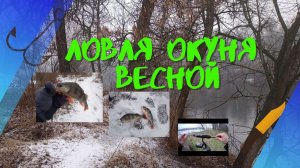 Открыл сезон! Ловля окуня на ультралайт весной!