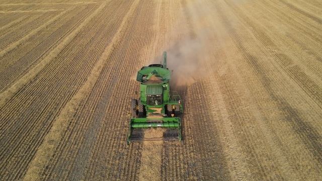 Don't Hit the Post Kate! Montana Wheat Harvest 2022