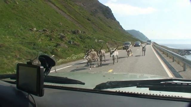 Порсангер-фьорд, туннели Нордкап и Хоннингсвог, остров Магерёйа, мыс Нордкап | Норвегия смотреть онлайн