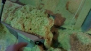 Участок подачи сырья в гранулятор