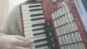 Песня 6 рота, на аккордеоне,  гармони, цифры 89277382068