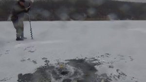 Поиск и ловля плотвы зимой на мормышку с мотылем Хотомля водохранилище