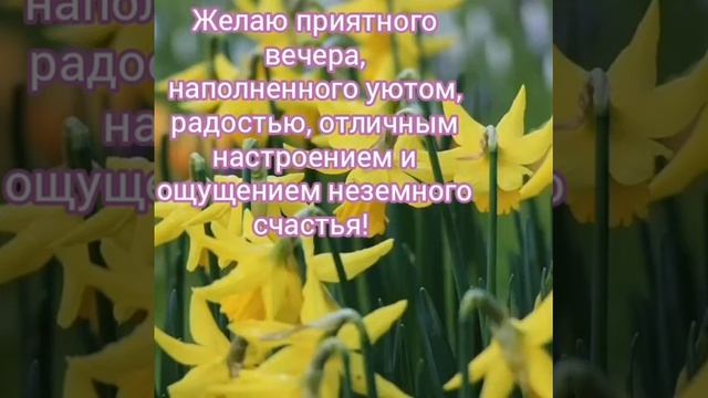 #Пожеланиедоброговечера#добрыйвечер/Музыкальная открытка/ пожелание уютного, тёплого вечера.