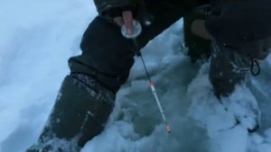 Диалоги о рыбалке 2013. Сибирский хариус. Часть 2.