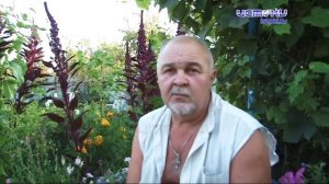 Председатель СНТ не прав