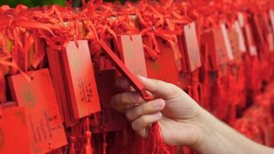 Лотосовые горы в Гуанчжоу. Lotus Mountain. Один из Лучших парков в Китае.