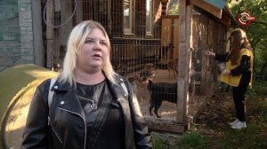 Протяни руку лапе 2023