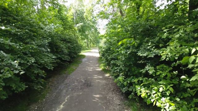 Прогулка по Екатеринбургу. Парк УрГУПС смотреть онлайн