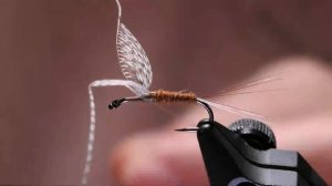 Wally Wing Tying Tips -- Live Fly Tying on Whip Finish Wednesday