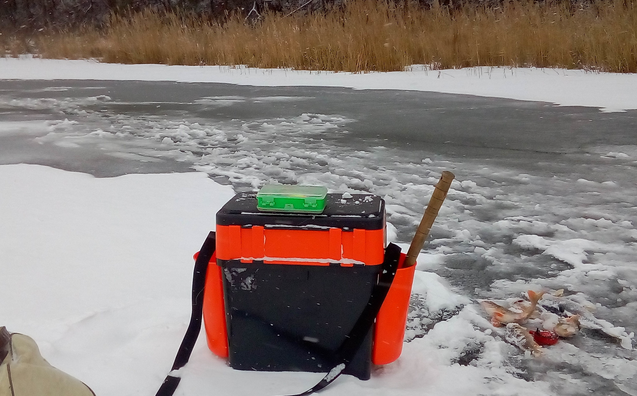 Попал в хорошую ЛУНКУ ! Рыбалка на лесном озере . смотреть онлайн