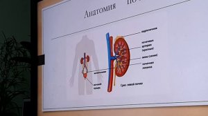 2021 12 01 Почки-корень жизни к.м.н. профессор Л-м Балабанова Л.М. часть 1