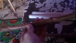 Жердочки для попугая корелла