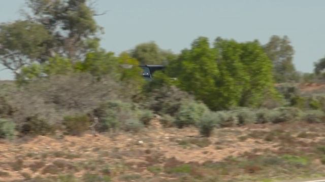 Самый мощный Land Cruiser 300 Sahara ZX Все подробности! смотреть онлайн