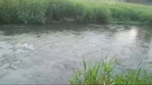 ОТКРЫТИЕ ДОРОГ С ПОМОЩЬЮ РЕКИ. ДЛЯ ВСЕХ. ВЕДЬМИНА ИЗБА ИНГА ХОСРОЕВА