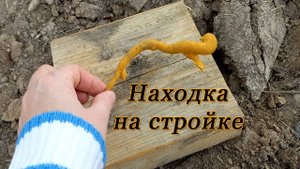 Встреча с трактористом не состоялась, зато нашла кое-что интересное