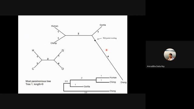 Day 3 Molecular Phylogenetics workshop 2020 07 20 at 06 37 GMT 7 смотреть онлайн