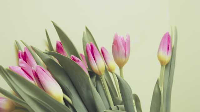 Празднуем 8 марта в «МАСК групп» смотреть онлайн