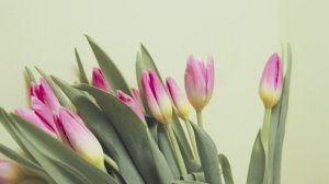 Празднуем 8 марта в «МАСК групп»