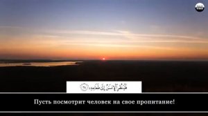 Чтец Исмаил Абу Мухаммад. Сура 80 'Абаса