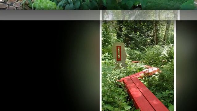 50 идей красивых садовых ДОРОЖЕК на ДАЧЕ смотреть онлайн