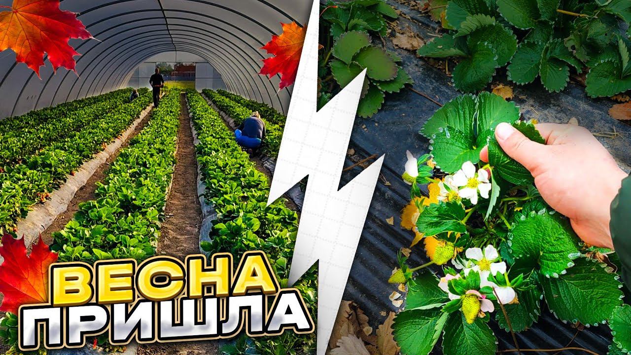 Весна пришла