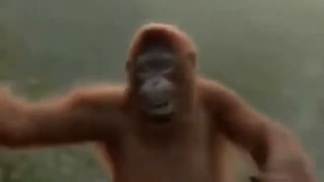 КОГДА ИДЕШ С РАБОТЫ В ПЯТНИЦУ смотреть онлайн