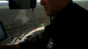 Organic Land посевная кондитерского подсолнечника